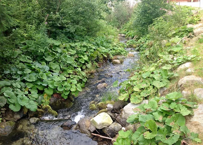 Apartmany V Hoteli Posta- Jasna, Nizke Tatry