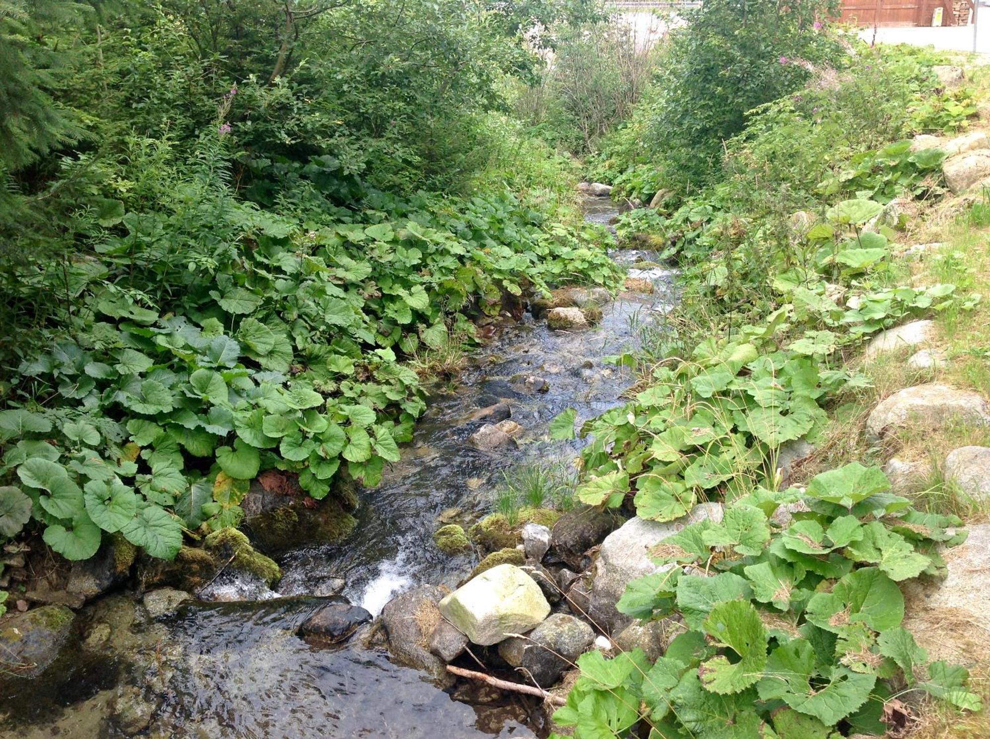 V Posta- Jasna, Nizke Tatry Apartment *