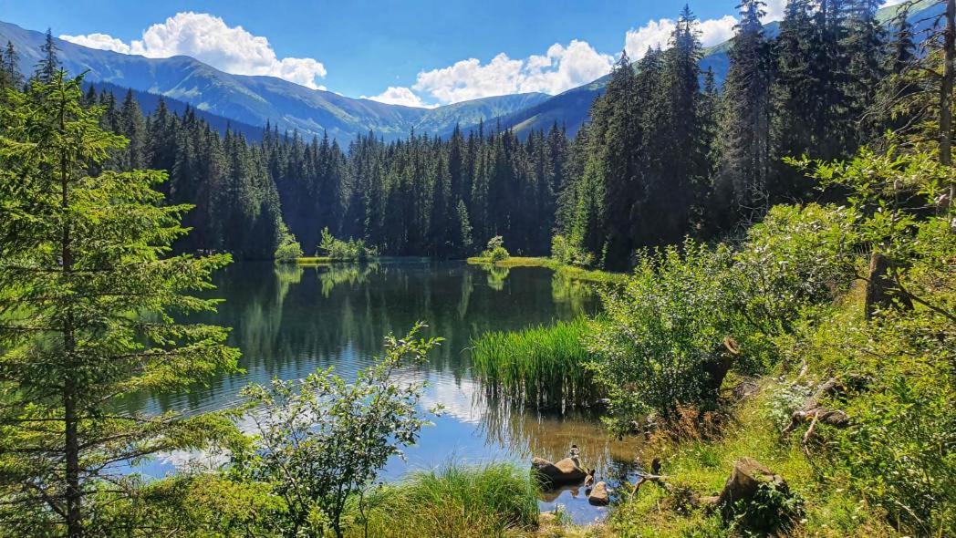 V Posta- Jasna, Nizke Tatry Apartment Liptovsky Mikulas